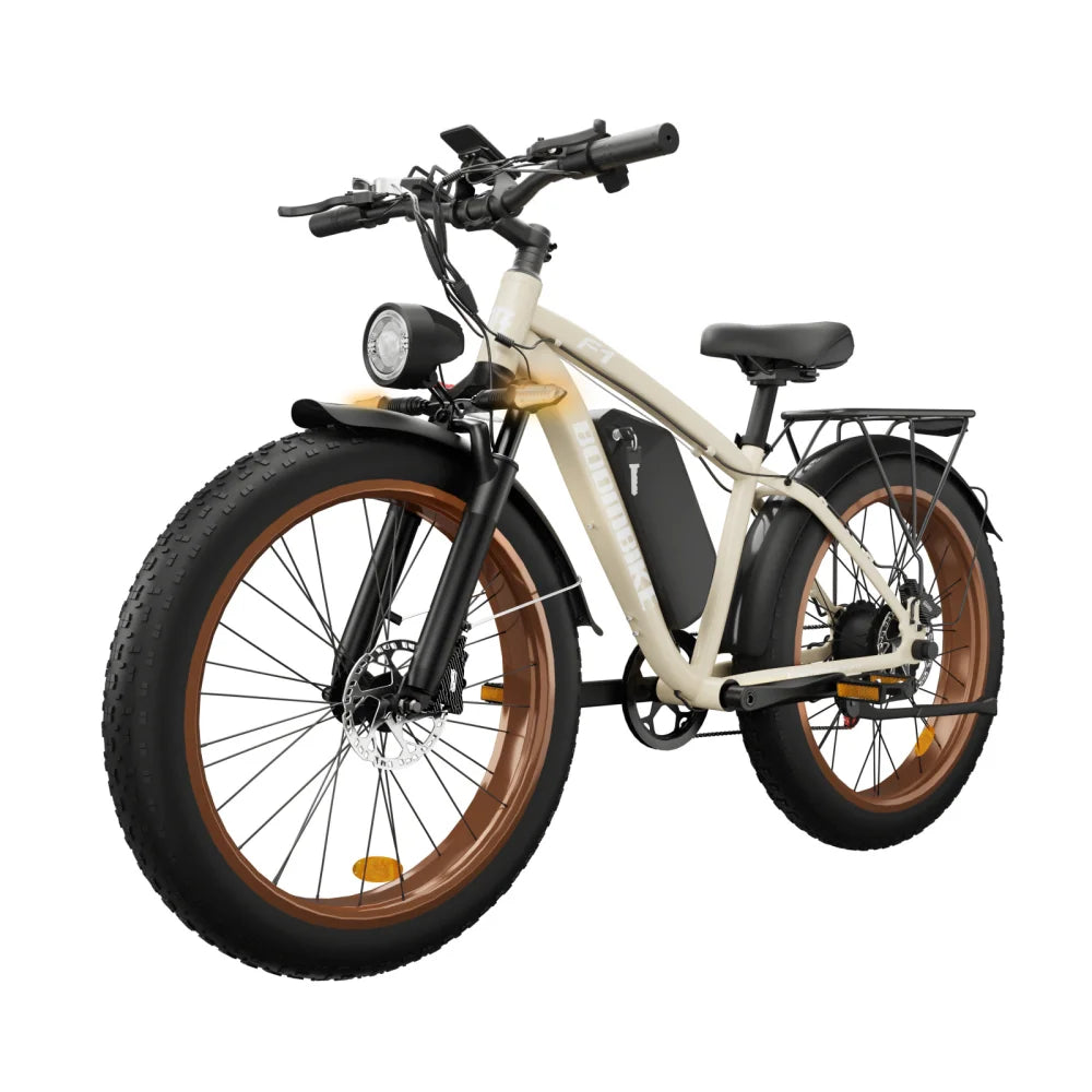 US Warehouse 1000W Electric Bike 48V 16AH Long Range Fat Tire E-Bike Full Suspension Hydraulic Brake Off-Road Mountain Bicycle