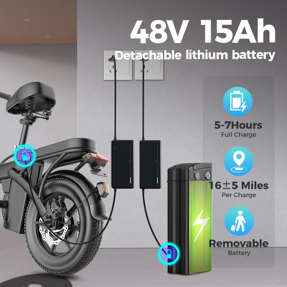 TOOFLY GS3 Folding Electric Bicycle 250W Motor 48V15AH Removeable Lithium Battery Adult Electric Bike City Riding Commute Ebike