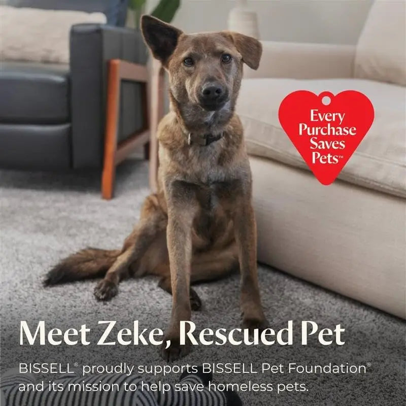 All-in-One Wet Dry Vacuum Cleaner and Mop for Hard Floors and Area Rugs, Purple, Efficient Pet Hair Removal