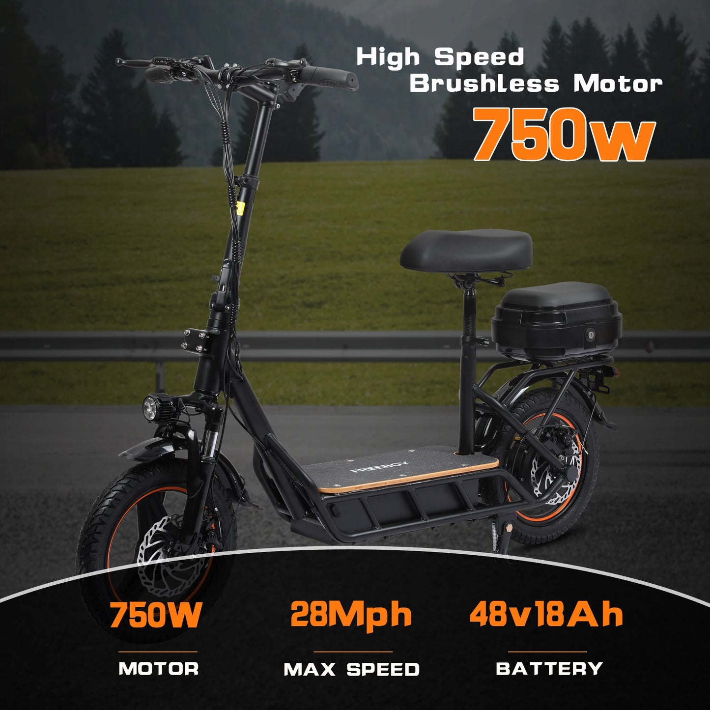 FREEBOY H14 Adult Electric Scooter 750W Motor 48V 18Ah Battery Folding E-Scooter 14  Tire city eScooter