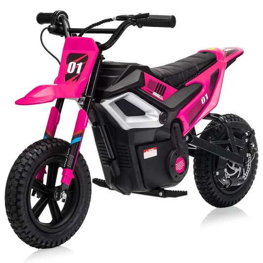 24V Electric Dirt Bike, 350W Kids Electric Motorcycle, Up to 14MPH & Max 130lb with Key Start, Throttle Grip, Manual Rear Brake