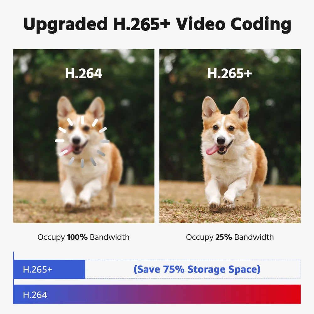 ANNKE 8CH 1080P FHD Video Surveillance System H.265+ 5in1 5MP Lite Recorder 1080P Outdoor Weatherproof Security Camera CCTV Kits