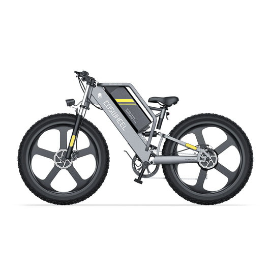 Coswheel T26 adult E-bike 500W 48V20Ah battery commute Electric Bike,26-inch Fat Tire E-Mountain bike