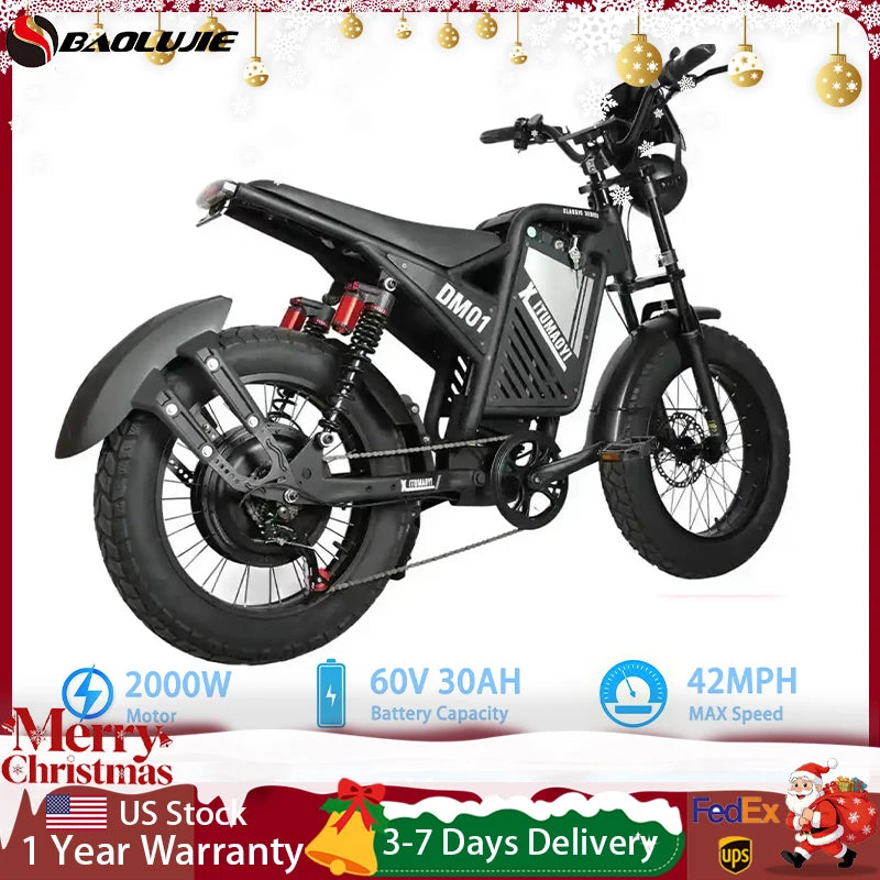 BAOLUJIE DM01 Motor Electric Bicycle 60V 30AH Battery Max Speed 42 MPH Electric Bike E-Bike Electric Motorcycle【1 Year Warranty】