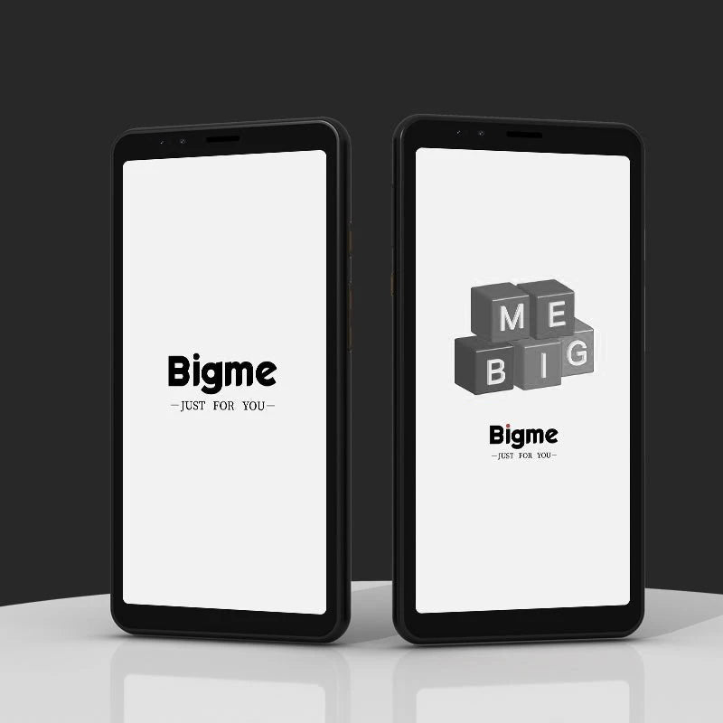 Bigme Hibreak Ebook Reader E-ink Display 5.84-inch Smartphone Electronic Book Android 11 Support Google Play Eink Phone Ereader