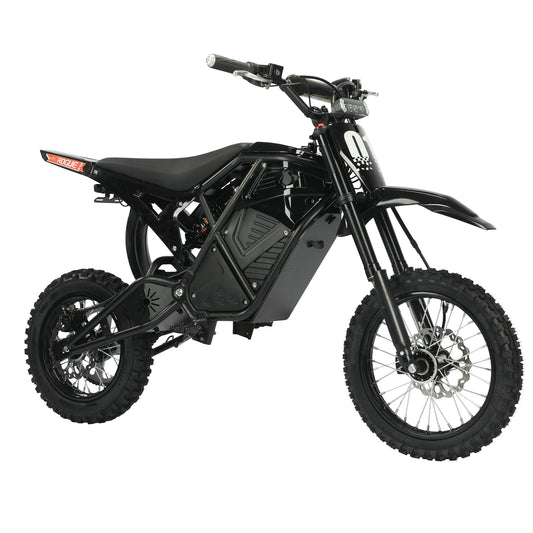1 YEAR Warranty 2000W Electric Dirt Bike for Teens & Adults, EBike, 48V Removable Battery E Bikes, 14"/12" Fat Tires Bicycle
