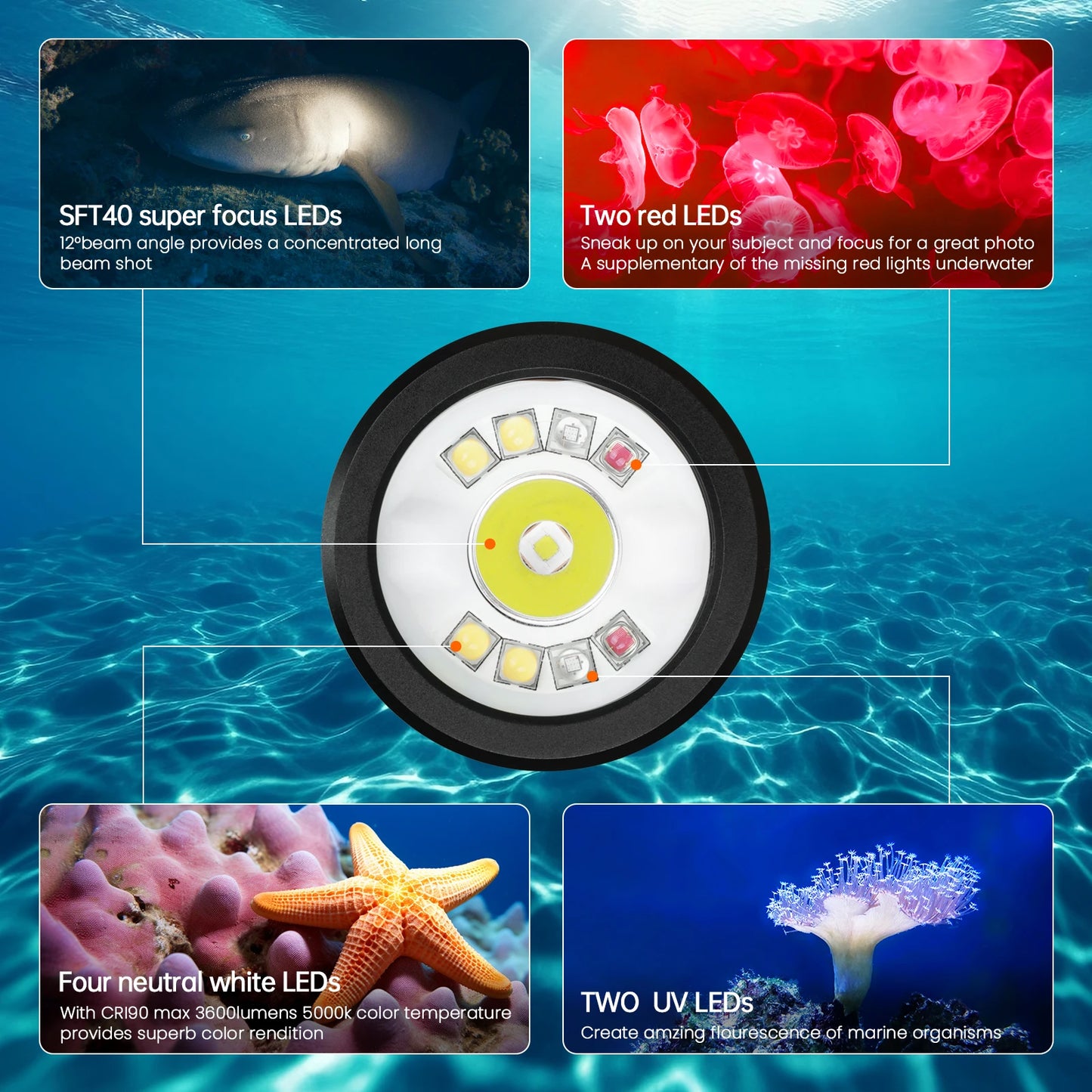 Wurkkos DL08 Powerful 3600lm Flashlight 21700 Rechargeable Diving Light with Rotary Magnetic Switch 6500K Underwater Torch IP68