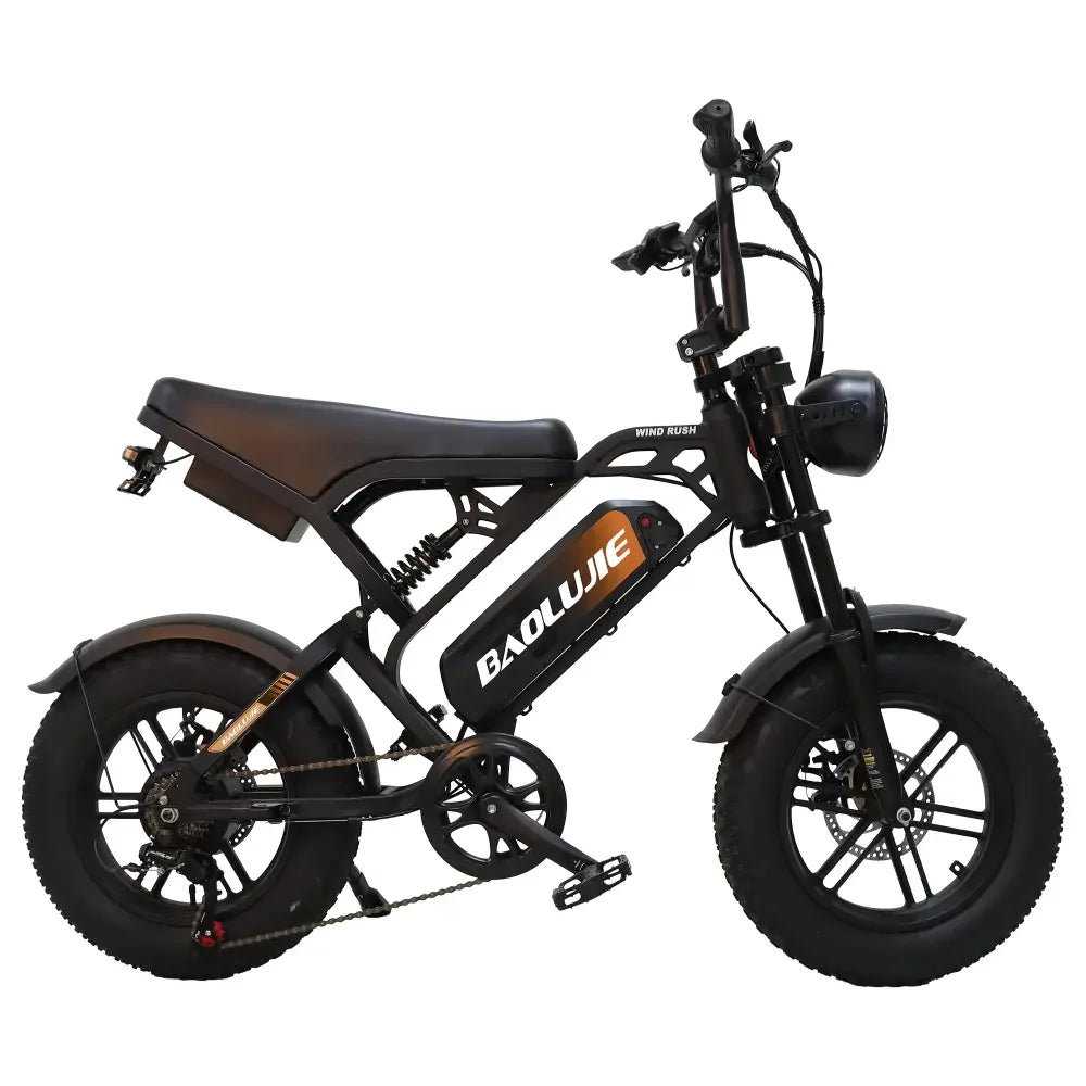 BAOLUJIE DM01 Electric Bike 2000W Motor Electric Dirt Bike 60V Electric Bicycle for Adults 20" Fat Tire UL2849【1 Year Warranty】