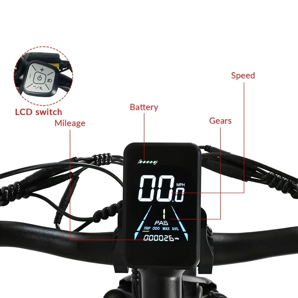 Electric Bike 2000W Dual Motor 48V20AH Lithium Battery 21 Speed E-bike Hydraulic Brake 26*4 Inch Fat Tire Snow Electric Bicycle