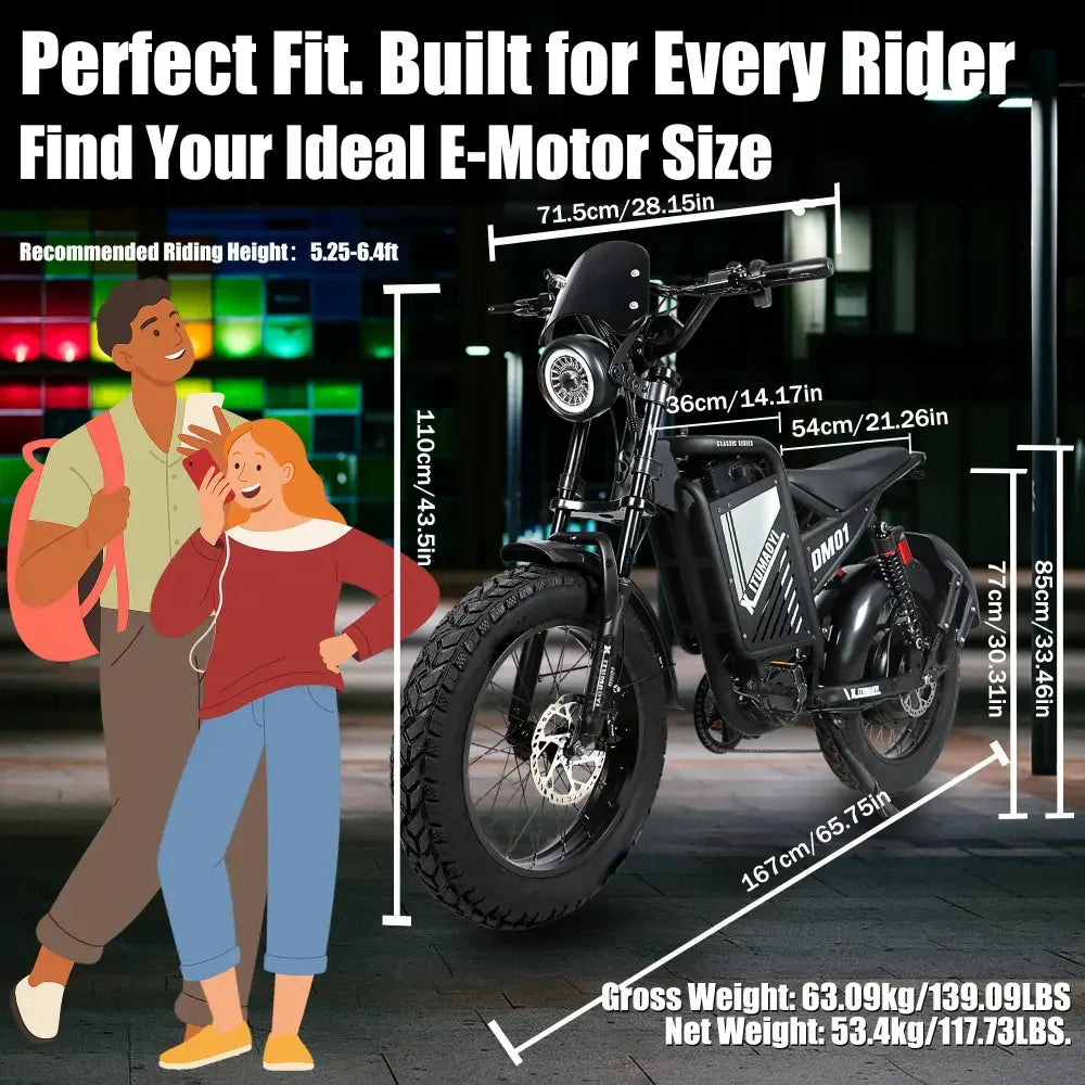 BAOLUJIE DM01 Motor Electric Bicycle，E-Bike Motorcycle for Adults，60V 30AH Lithium Battery，42 MPH Electric Bike【1 Year Warranty】