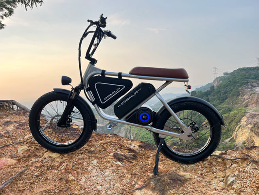 E3 Electric Bike for Adults, 1000W, 26MPH 48V 16AH Battery, Max 50-100 Miles E Motorcycle, 20*3" Fat Tire Dirt Bike, 3-Speed